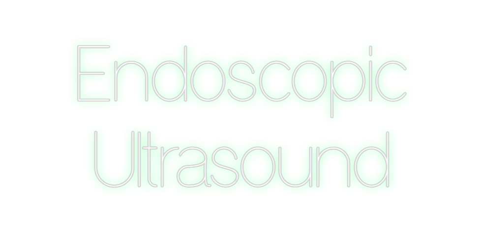 Custom Neon: Endoscopic
Ul...