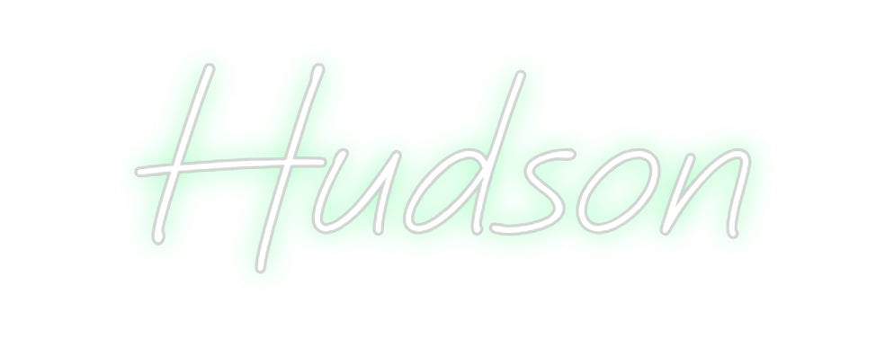 Custom Neon: Hudson