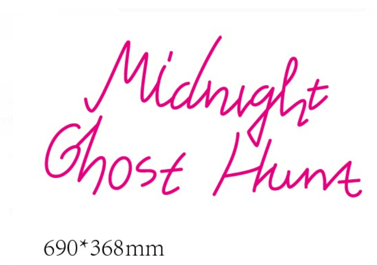 Neon Sign Midnight Ghost Hunt