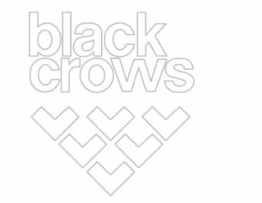 Black crows neon sign